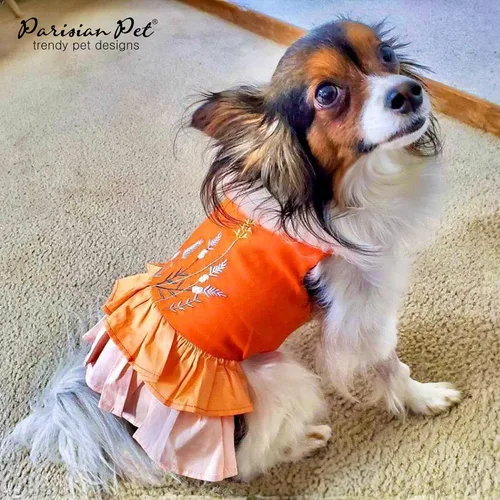 Vista 4 de Parisian Pet Vestido de Verano con Bloques de Color - Vestido Ligero sin Mangas - Atuendo de Playa para Perro - Lavable a Máquina para Perros Juego