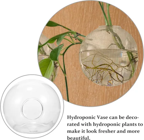 Vista 3 de Wall Hanging Hydroponic Glass Planter Vase 15cm Hanging Flower Pot with No-Trace Nail for Indoor Greenery and Succulent Propagation