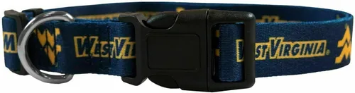 Vista 29 de Littlearth Collar para mascotas del equipo NCAA