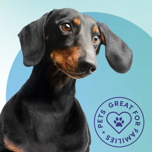 Vista 2 de Bioesque Neutralizador de orina, fórmula enzimática y bacteriana natural apta para mascotas, descompone instantáneamente los olores de orina, ayuda