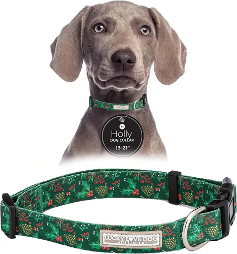 Vista 60 de Lucky Love Dog - Collar de perro ajustable con hebilla de fácil clic para los pequeños, duradero y cómodo para perros machos y hembras, collar