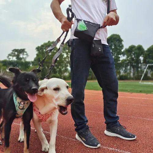 Vista 8 de Arnés y correa para perros y gatos, Puppia chaleco suave de malla acolchado y ajustable para cachorros, linda ropa para perros, a prueba de escapes