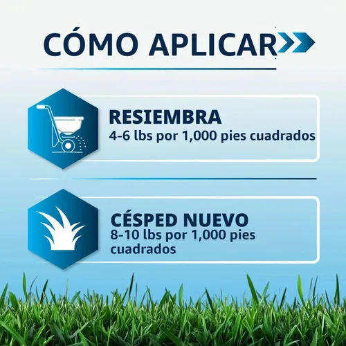 Vista 7 de Lawn Synergy North Star Kentucky Bluegrass y semilla de festuca alta, 10