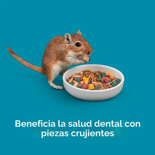 Vista 8 de Alimento para hámster, Kaytee Forti dieta pro salud, Púrpura