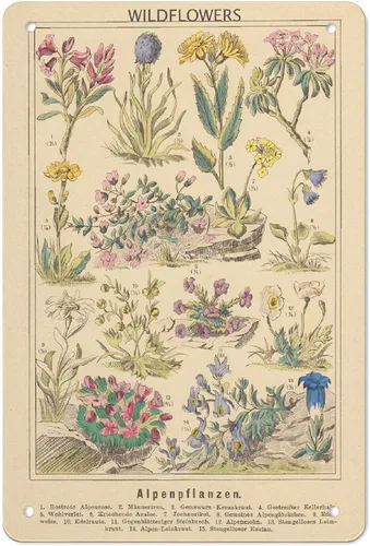 Vista 10 de Letrero de metal de mariposa de aluminio con diseño de niña y mariposa, póster de metal vintage de 8 x 12 pulgadas, letrero de pintura para Chica
