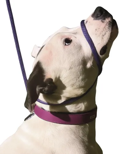 Vista 4 de Not So Fast Rover - Collar para la cabeza de perro sin tirones, talla única, de primera calidad, corrige los tirones de tu perro para paseos más