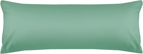 Vista 46 de Warmstar Juego de 2 fundas de almohada de algodón tamaño Queen, fundas de almohada de 600 hilos de 20 x 30 pulgadas, fundas de almohada de algodón