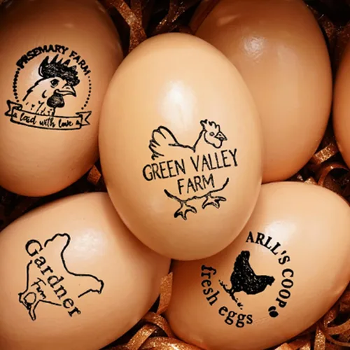 Vista 8 de Sello personalizado para huevos de gallina, sello de huevos frescos, sello de huevo pequeño, sello de goma completo, bonitos sellos de huevos