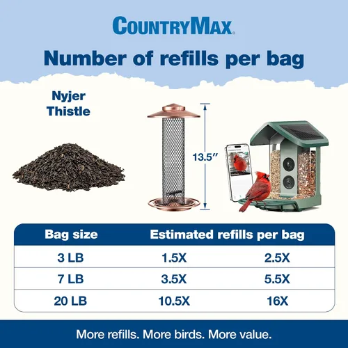 Vista 5 de Nyjer - Semilla de cardo para pinzones de 3 libras, semilla de ave Nyjer prémium para comederos exteriores, bolsa pequeña de alimento para pájaros