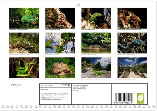 Vista 2 de REPTILES (calendario mensual de pared 2022 11.7 x 16.3 in (abierto)