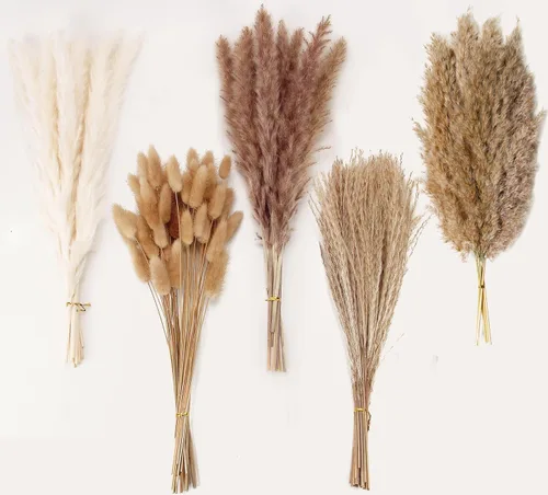 Vista 16 de 10 tallos de hierba de las pampas de 40 pulgadas de alto en color beige natural, añade un toque bohemio a tu espacio: hierba de las pampas ideal