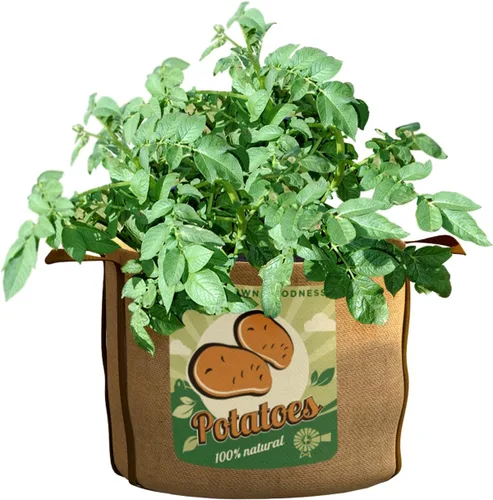 Vista 4 de PANACEA PRODUCTOS 84386 Grow Bag tomates, 20 galones