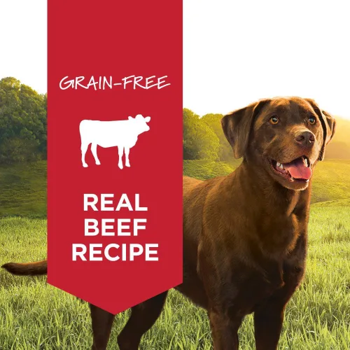 Vista 2 de Instinct - Comida húmeda original para perros, receta libre de granos - Carne de res real, 13.2 onzas (Paquete de 6)