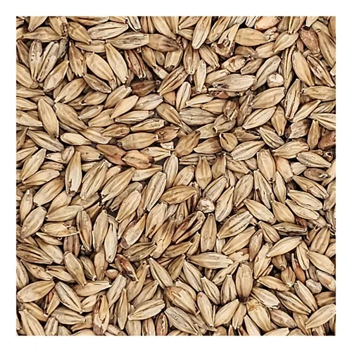 Vista 5 de Home Brew Ohio Abbey Grain 5lb