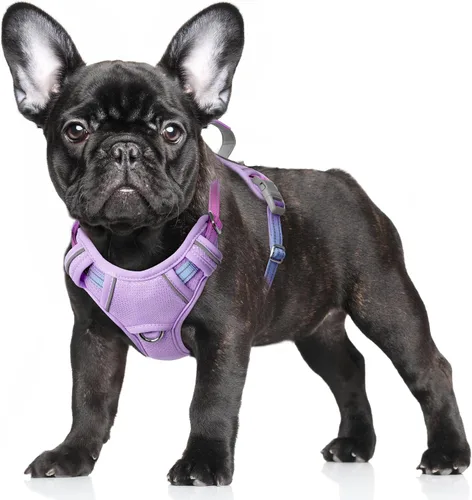 Vista 49 de BARKBAY Arnés para Perro Sin Tirones Talla Grande Arnés Reflectante para Perro con Clip Frontal y Asa de Control Fácil para Caminar Entrenar Correr