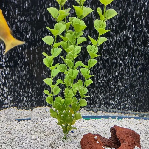 Vista 6 de Saim Barra difusora de liberación de burbujas de aire para tanque de peces hidropónico de piedra de aire para tanque de peces bomba de acuario verde