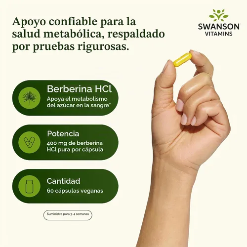 Vista 3 de Swanson Suplemento de berberina - 400 mg cada uno, 60 cápsulas - Berberina HCl con apoyo general para el bienestar