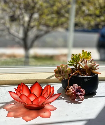 Vista 5 de Velas de té con forma de flor de Loto.