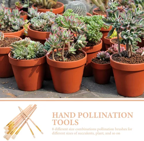 Vista 2 de GANAZONO 8PCS Polinizador de Plantas Suculentas Plantas Cepillo de Limpieza Herramientas de Jardinería Paisaje Miniaturas Cepillador Cepillo