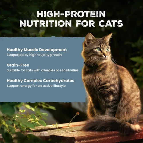 Vista 3 de Blue Buffalo Wilderness Wild Delights Carne Morsels - Alimento húmedo para gatos adultos, con alto contenido de proteínas y sin granos
