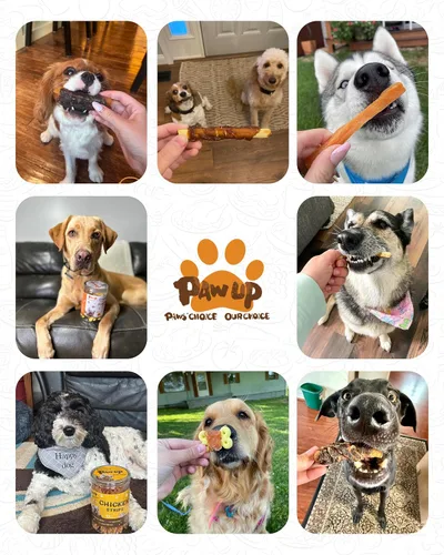 Vista 8 de PAWUP - Golosinas envueltas en pollo para perros, alta fibra