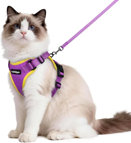 Vista 52 de rabbitgoo Cat Harness and Leash Set, Escape Proof Vest, XXS, Berry Pounce Soft Breathable Mesh, No-choke Adjustable Fit, Snap Buckles, Sturdy