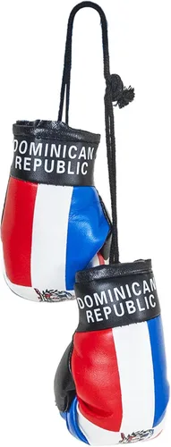 Vista 15 de SandT Collection Guantes de boxeo pequeños con bandera del país - Guantes de boxeo para colgar
