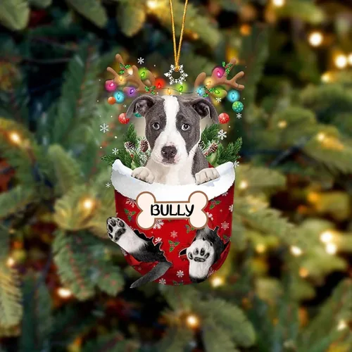 Vista 85 de IZI POD Affenpinscher Adorno de Navidad personalizado para perro, adorno de bolsillo de nieve para perro para árbol de Navidad, adorno acrílico