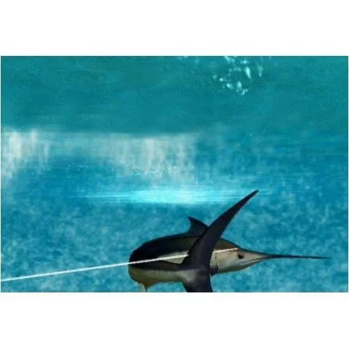 Vista 4 de Reel Fishing Angler's Dream - Nintendo Wii
