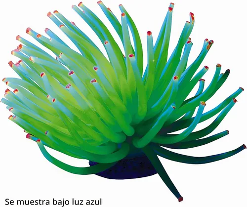 Vista 2 de Adornos de anémona GloFish, decoraciones para pecera, decoraciones para acuario, crea un efecto brillante