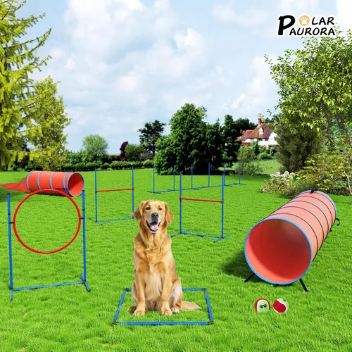 Vista 8 de Juego de equipo de entrenamiento de agilidad para perros, kit de entrenamiento de agilidad para carreras de obstáculos para cachorros, incluye 2
