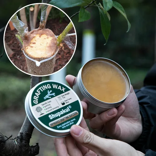 Vista 6 de Juego de cera para injerto de árbol, sellador de poda de heridas de árbol con cinta de sellado, cera de injerto para rosas, fruta, bonsái, arbustos