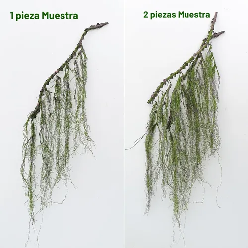 Vista 5 de Ramas de árbol de sauce de imitación rizadas de 63 pulgadas para colgar