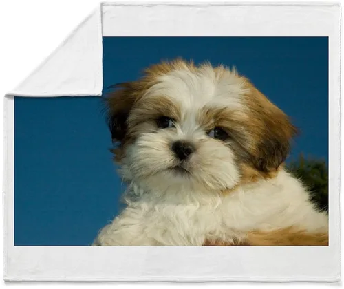 Vista 4 de CafePress Shih Tzu - Manta de forro polar súper suave para cachorros, 60 x 50 pulgadas
