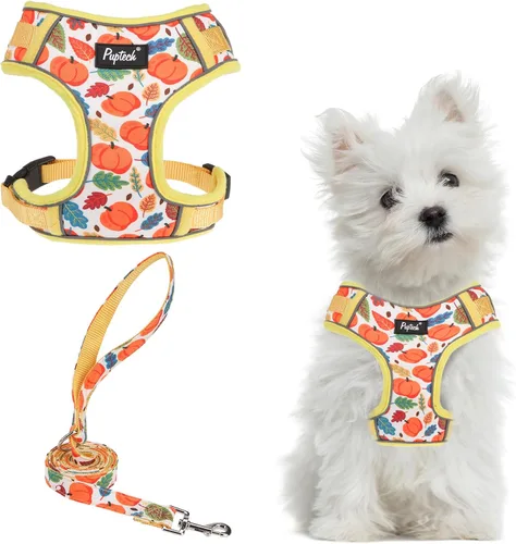 Vista 20 de PUPTECK Juego de arnés y correa para perro pequeño, arnés ajustable sin tirones para cachorro, chaleco de malla suave reflectante para mascotas