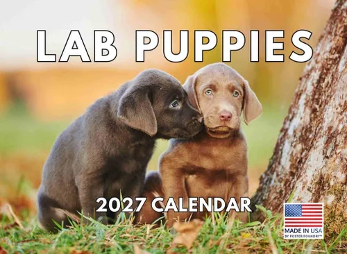 Vista 87 de Calendario mensual de pared Airedale Terrier Dog 2027