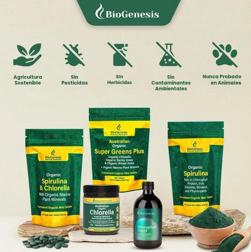 Vista 8 de Biogenesis Tabletas orgánicas de Chlorella – 300 unidades (500 mg) bayas mixtas Cultivado en Australia Pared celular agrietada BioDynamic Rico