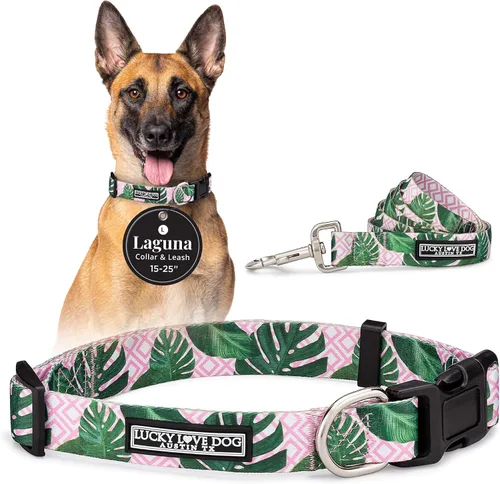 Vista 85 de Lucky Love Dog - Collar para perras pequeñas, diseño Blackbird de estampado alegre con flores de primavera y verano, talla XS Collar Blackbird