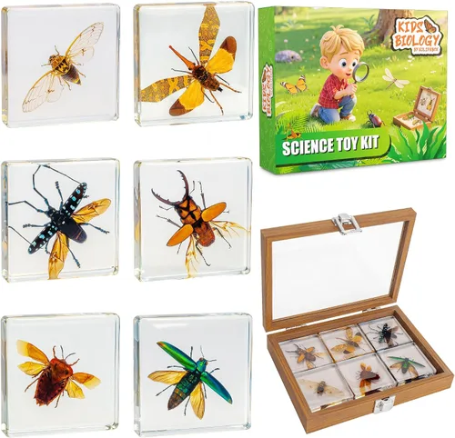 Vista 8 de Juego de muestras de insectos, colección de insectos, regalo educativo científico para niños de 3 a 8 a 12 años