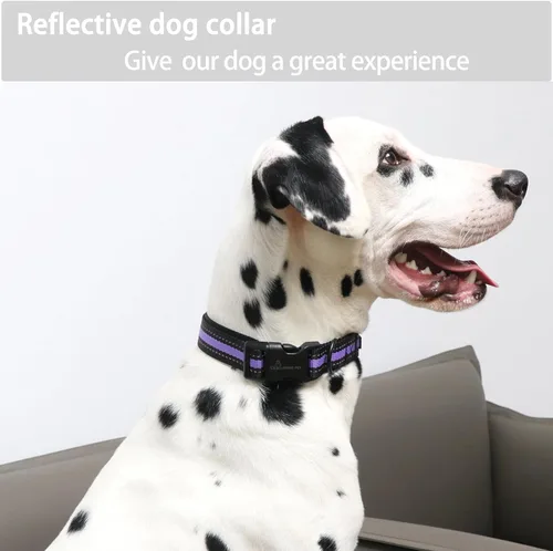Vista 5 de ARING PET Collar reflectante para perro, collar de perro morado suave para perros medianos, collares de perro de nailon ligero con hebilla