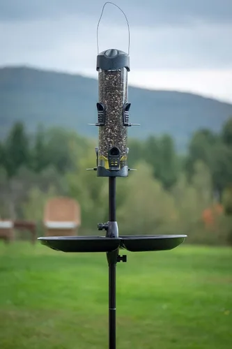 Vista 2 de Brome Mega 600 comedero para pájaros – Alimentador de tubo de gran capacidad para aves silvestres, 6 puertos de alimentación, capacidad de semillas