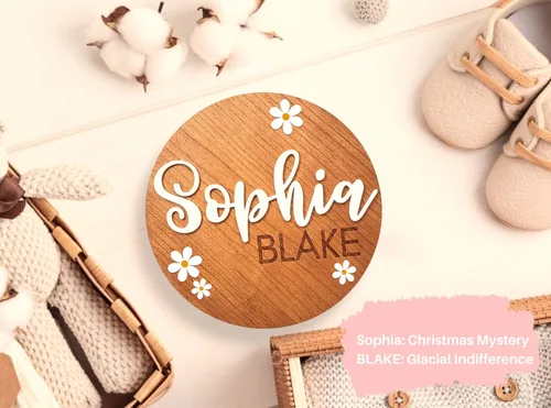 Vista 4 de Personalized Baby Announcement Sign, Baby Name Signs for Nursery, Newborn Announcement Sign, Birth Announcement Sign, Announcement Board for New