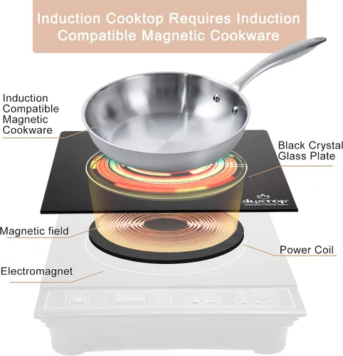 Vista 7 de Duxtop. Calentador de comida de inducción portable, de mesada, 1800 vatios, Dorado