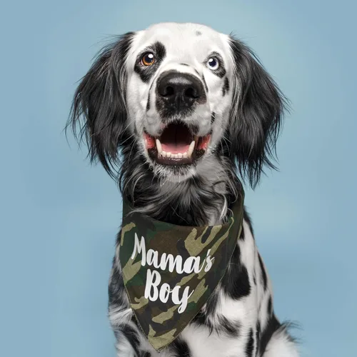 Vista 2 de Mama's Boy Bandana para perro 100% algodón triángulo ajustable Hecho en Estados Unidos Día de San Valentín Negro, XS (6)