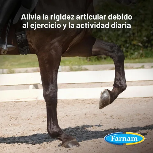 Vista 2 de Farnam Next Level Suplemento para articulaciones de caballo para caballos