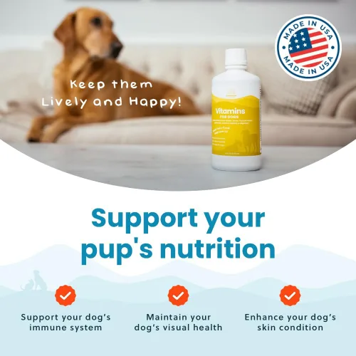 Vista 5 de Vitaminas y suplementos 100 % naturales para perros – Multivitamina líquida para perros – Vitaminas para perros mayores – Multivitaminas para perros