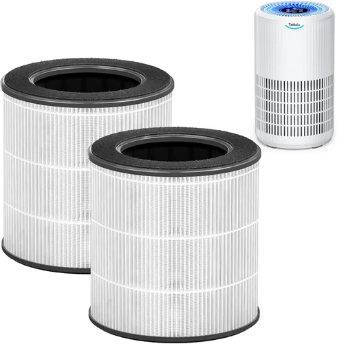 Vista 9 de Tailulu Filtro de Repuesto para Purificador de Aire para Limpiador de Aire D09, Filtro HEPA Verdadero H13 3 en 1, 1 Paquete