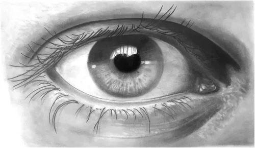 Vista 4 de Faber Castell Gold 1221 - Lápiz (12 unidades), color negro
