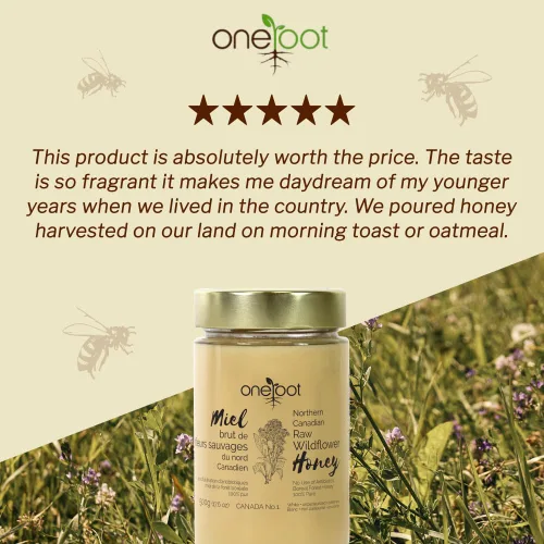 Vista 6 de Oneroot 100% miel de flores canadienses – 17.6 onzas/1.1 libras, miel silvestre sin filtrar, sin calentar y crema, miel de flores silvestres cruda