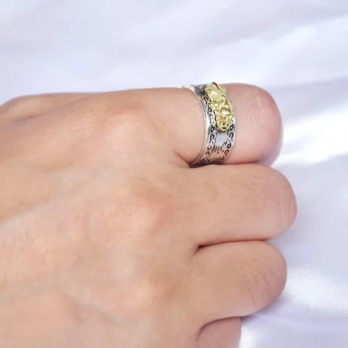 Vista 2 de Anillo ajustable para protección de mantra de Feng Shui PiXiu MANI, Metal, no conocido